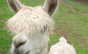 Centrum Edukacyjno-Rozwojowe Wrocław Pawłowice - bezpłatny parking